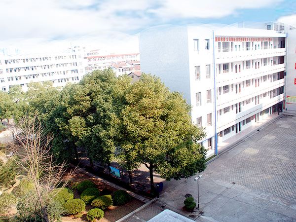 2018年上学期教务工作计划